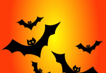 Halloween i koronaens tid – 7 skummelt morsomme ideer